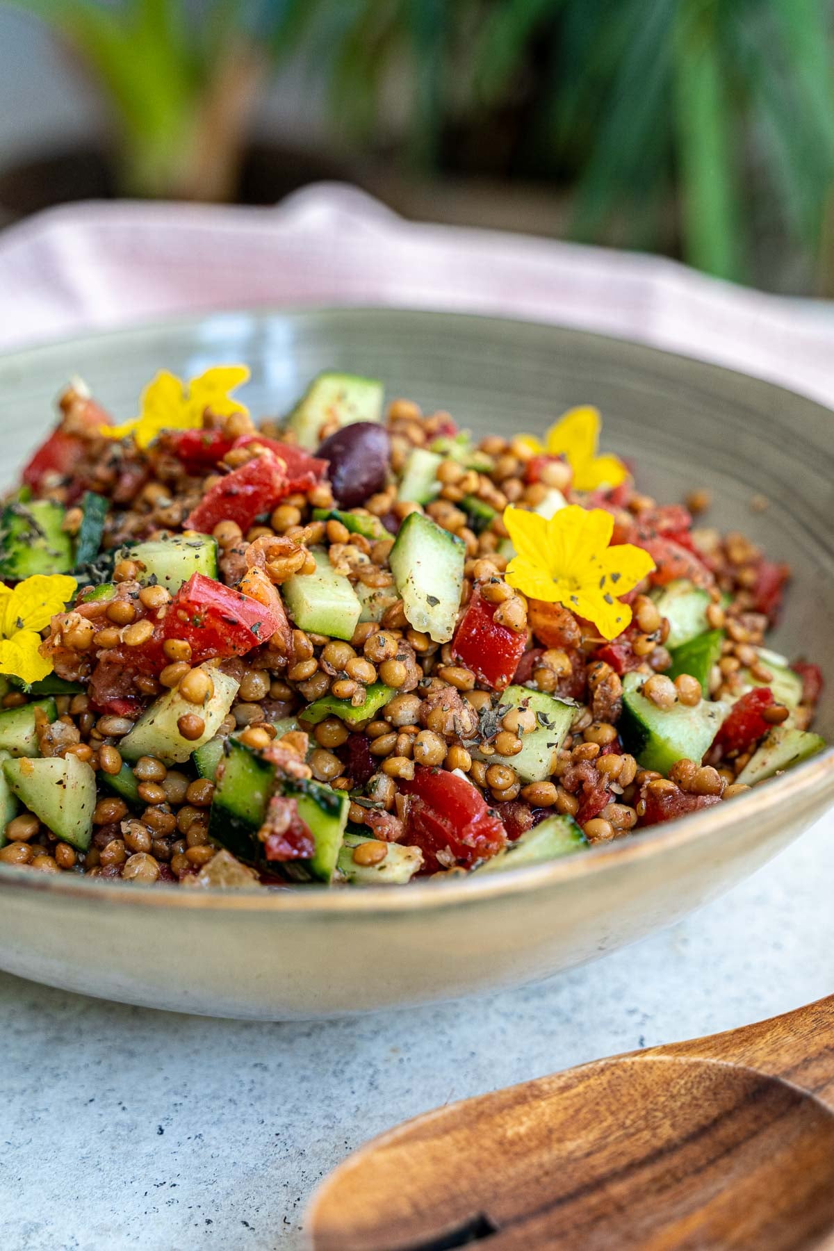 Lentil Salad served on plate