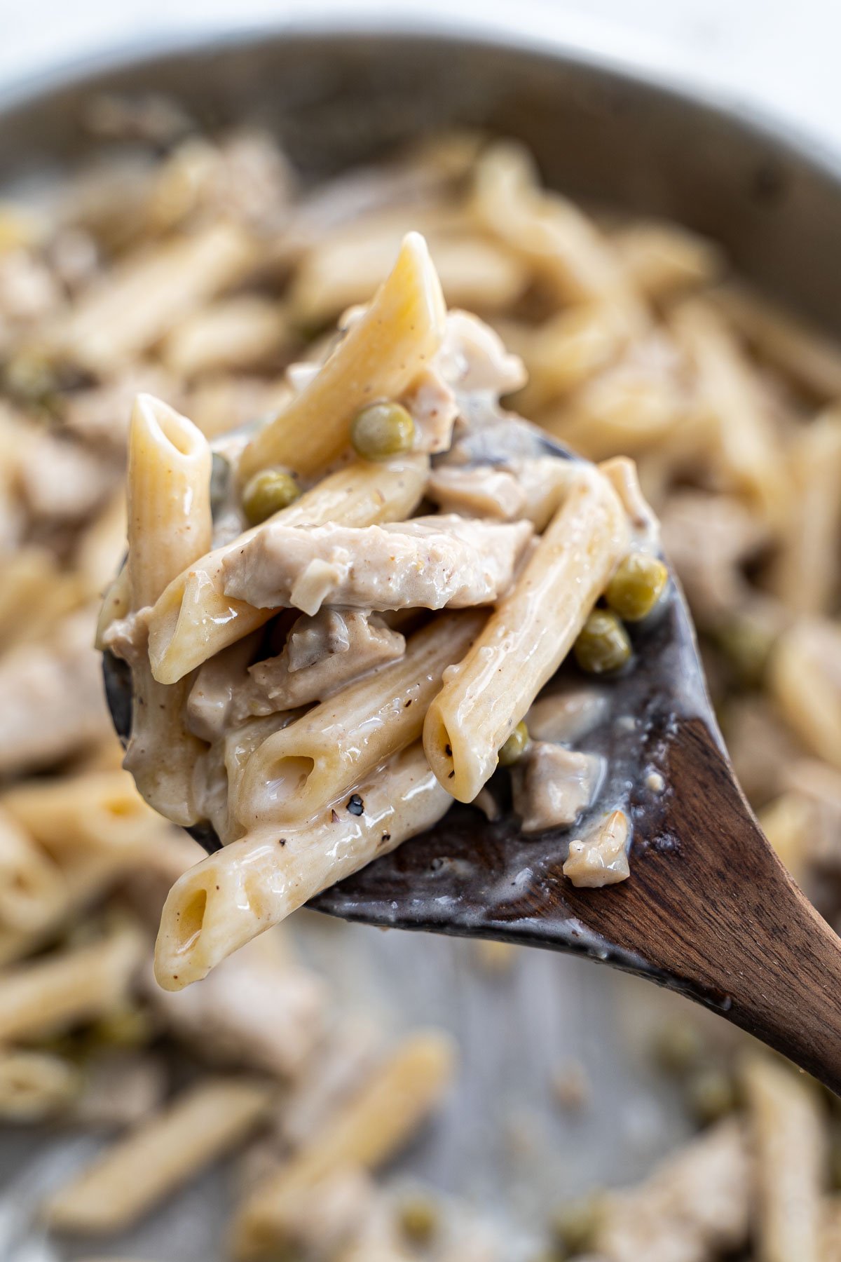 vegan creamy pasta being served
